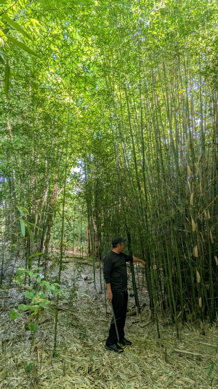 Bioparque